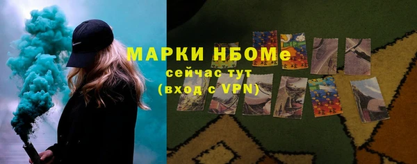хмурый Алзамай