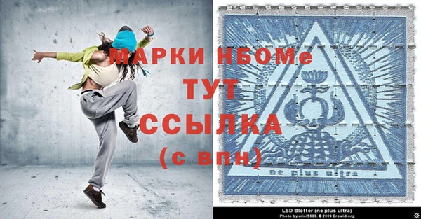 хмурый Алзамай