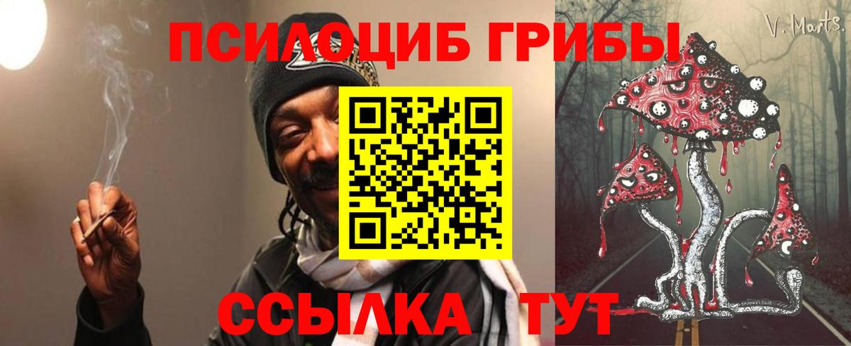 Псилоцибиновые грибы Magic Shrooms Грязи