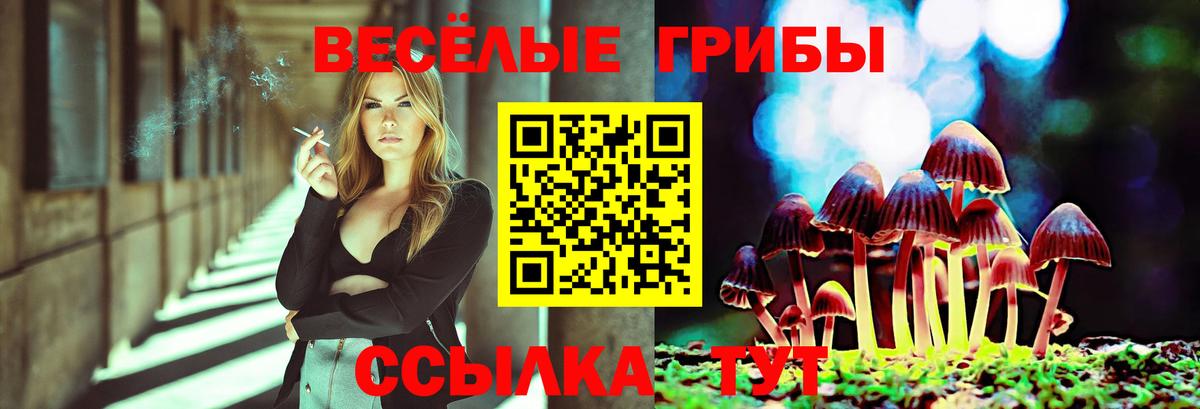 Грязи  Псилоцибиновые грибы Psilocybe  Вход с VPN  Галлюциногенные грибы прущие грибы 